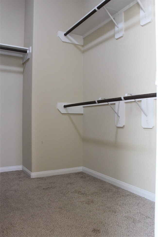 Building Photo - 3715 Don Giovanni Pl