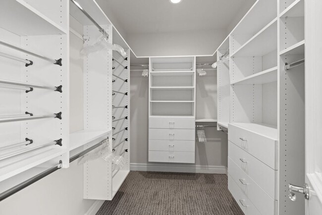 Building Photo - Stout Street 2 BDR at Curtis Park