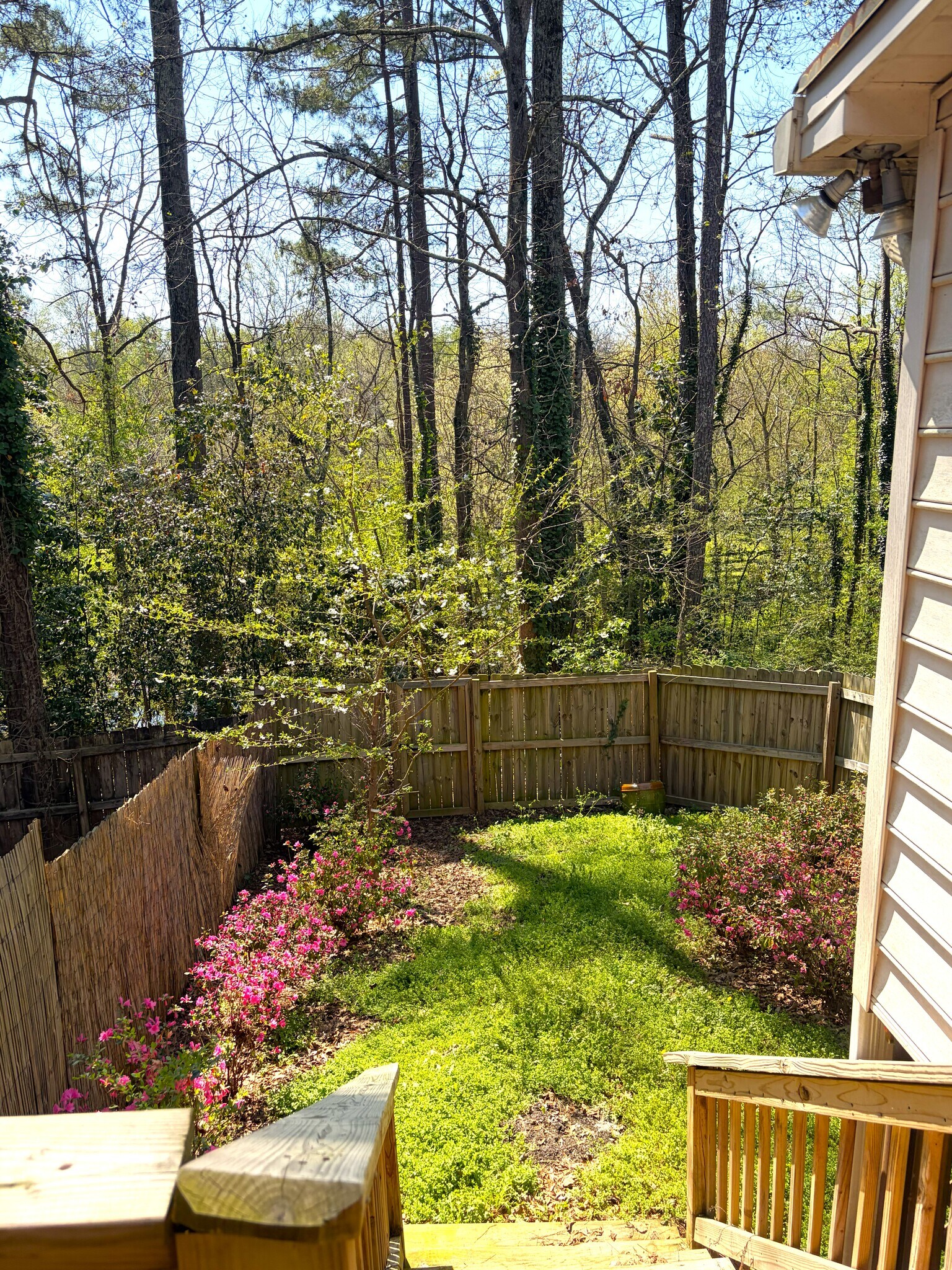 Backyard 2 - 1330 Poplar Pointe SE