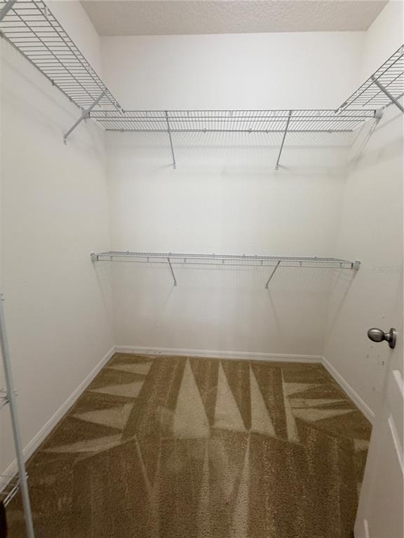 Building Photo - 1860 Piedmont Ct