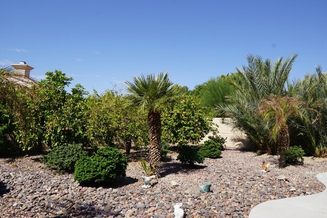 Building Photo - 40093 Corte Refugio