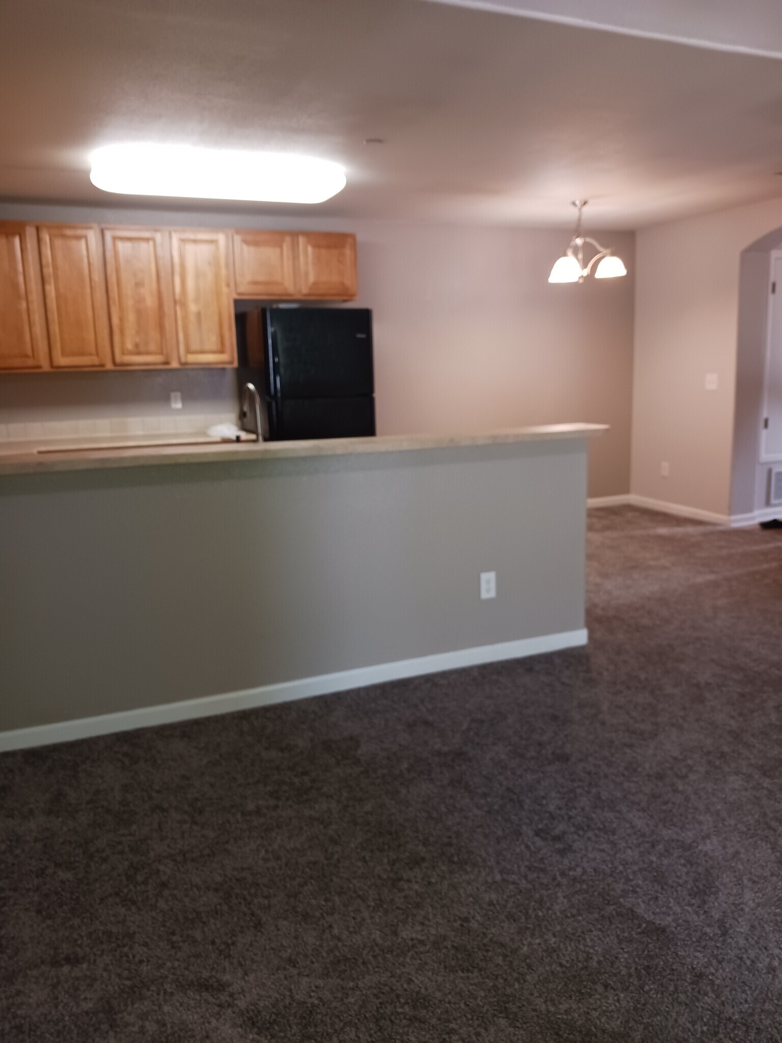 Building Photo - 4815 Hahns Peak Dr