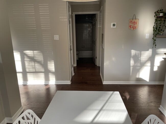 Hallway to laundry closet, storage closet, and second bathroom and bedroom - 417 Olmsted Park Pl