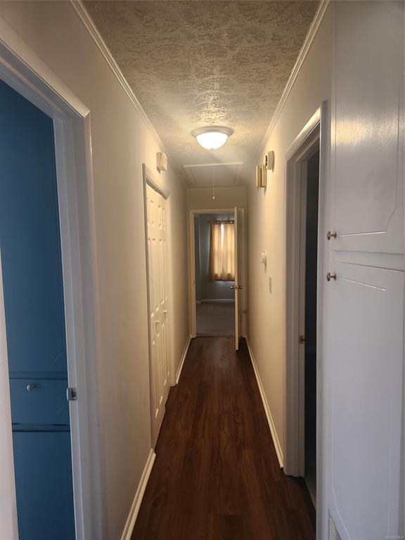 Building Photo - 3706 Jasmine Hill Rd