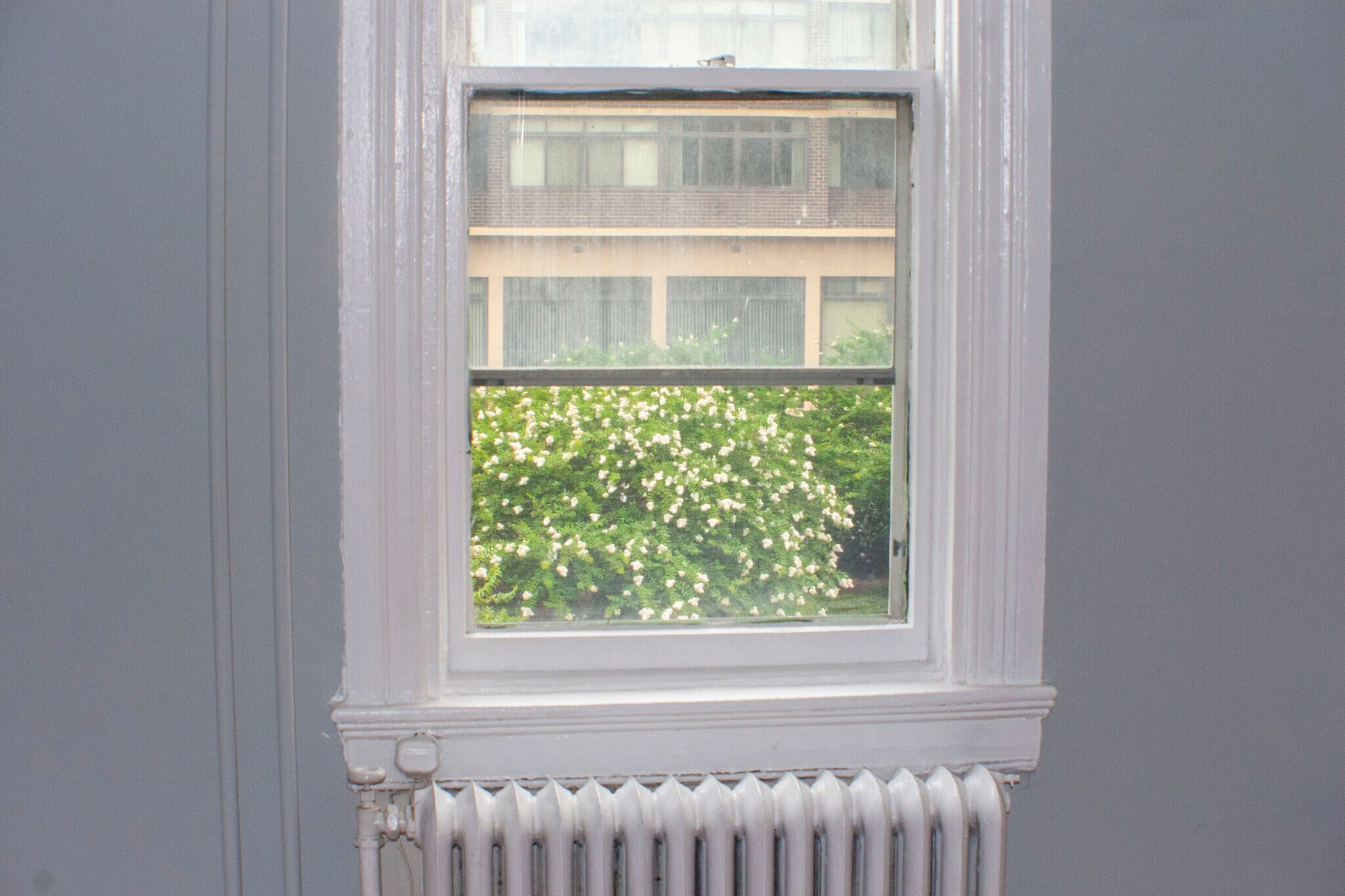 Bedroom 1 - 1204 John St