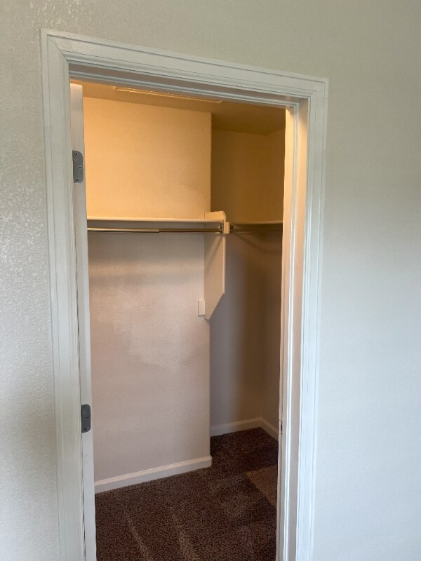 Building Photo - 3606 Ponderosa Ct