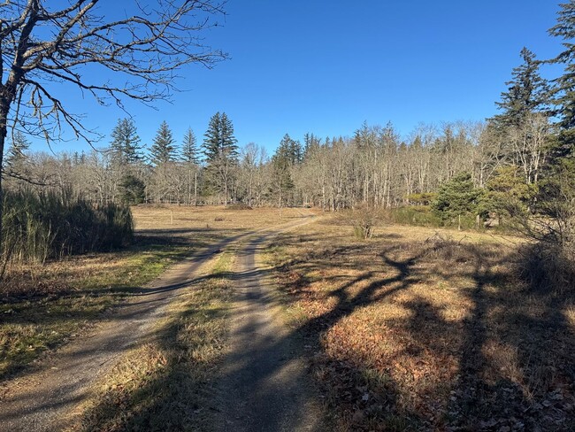 Building Photo - Secluded cottage 2 BR w/ bonus on acreage