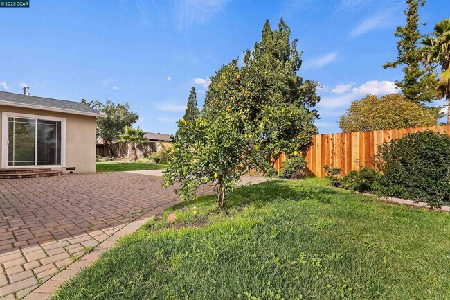 Building Photo - 2111 Shasta Dr