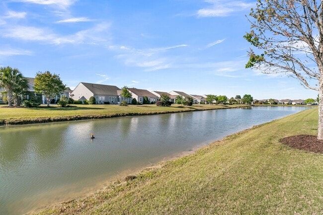 Building Photo - 168 Sea Lavender Ln