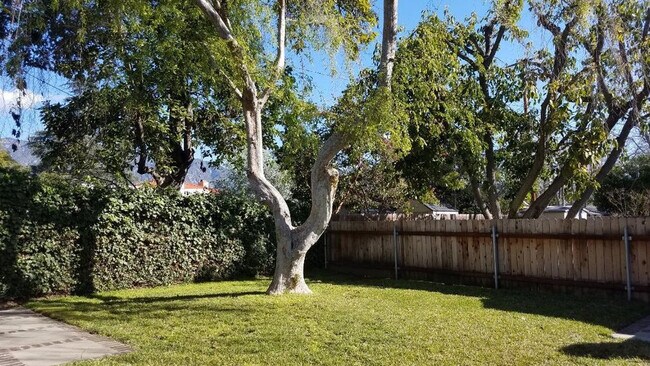 Back Yard - 3851 Oakdale St