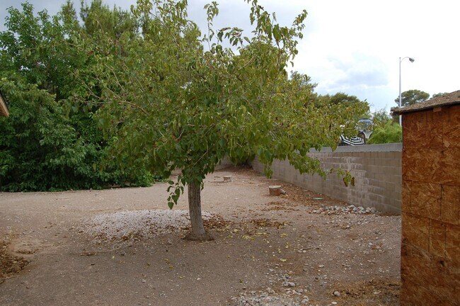 Building Photo - 7185 Acorn Ct