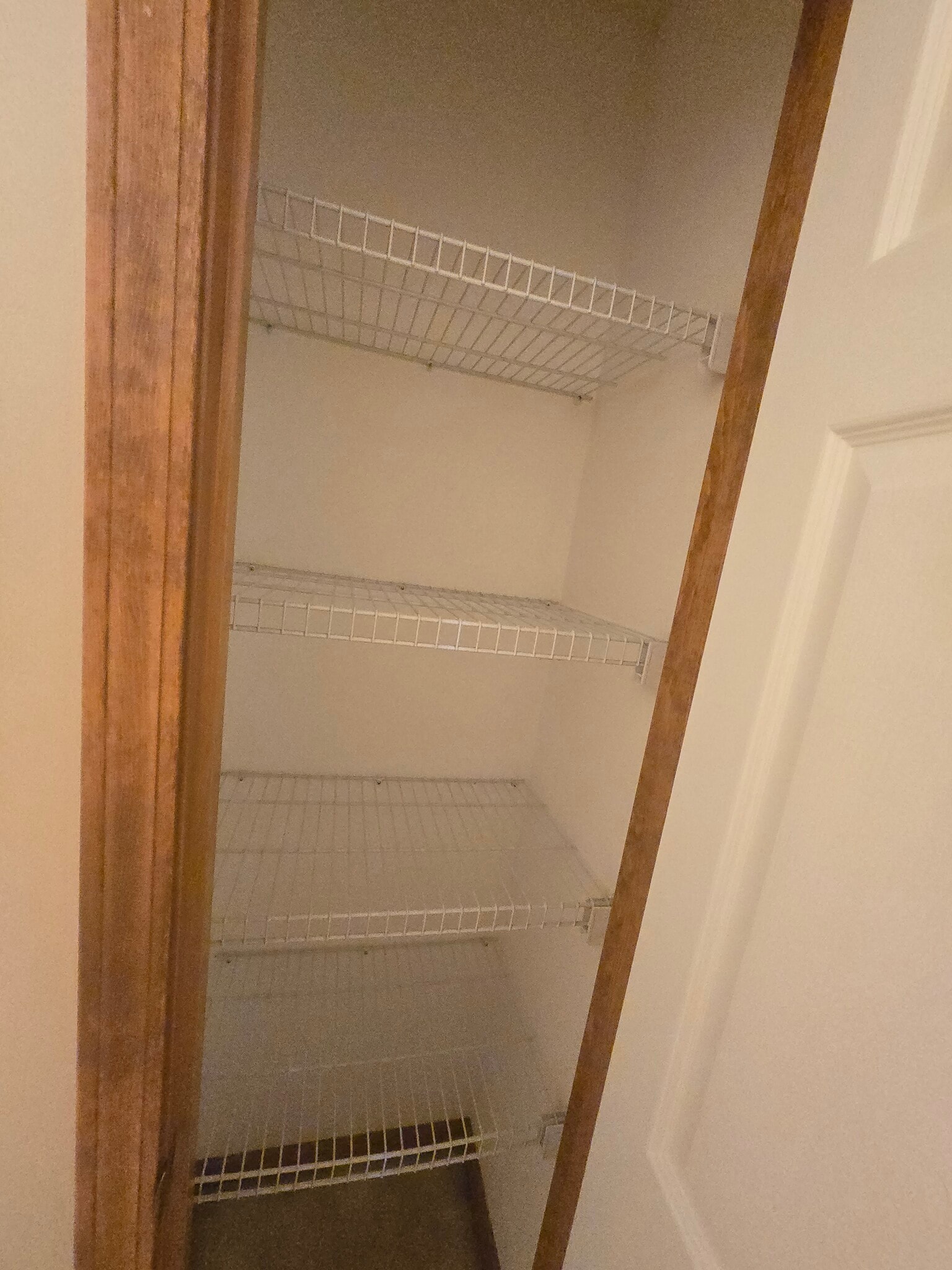 Hall bathroom closet - 3700 Falmouth Dr