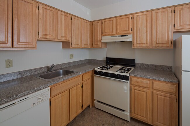 Building Photo - 2nd Floor: Discover private, elevated views and quiet surroundings in this sunny 1-bedroom apartm...