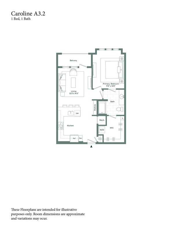 Floorplan - The Caroline