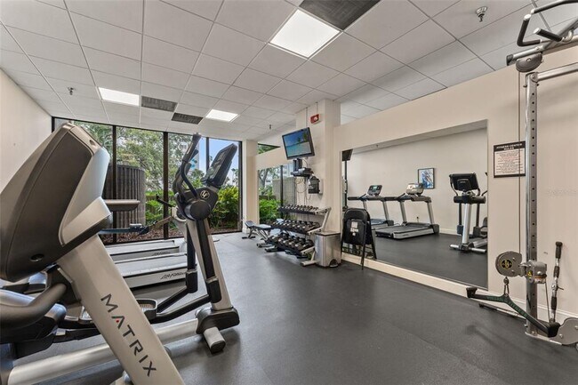 Building Photo - 2413 Bayshore Blvd