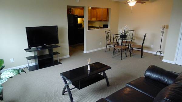 Fully Furnished Living Room - Alexander Place
