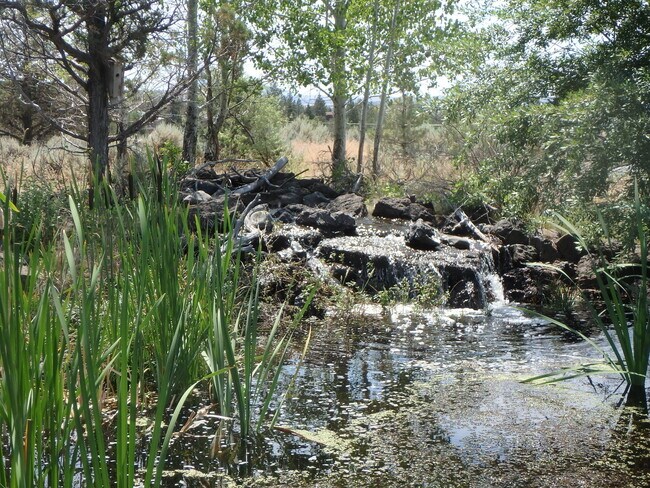 Building Photo - Executive Suite/Vacation/Short Term Rental 30-90 days