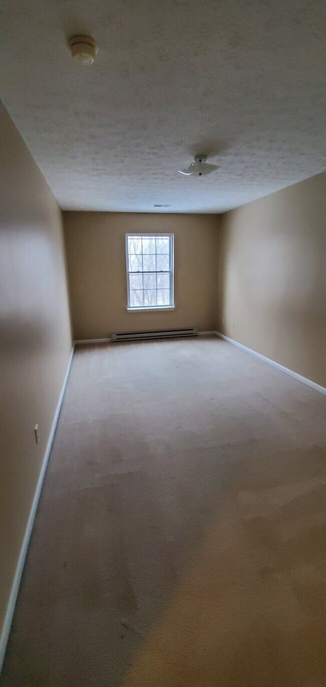 Building Photo - 8838 Stone Way NW