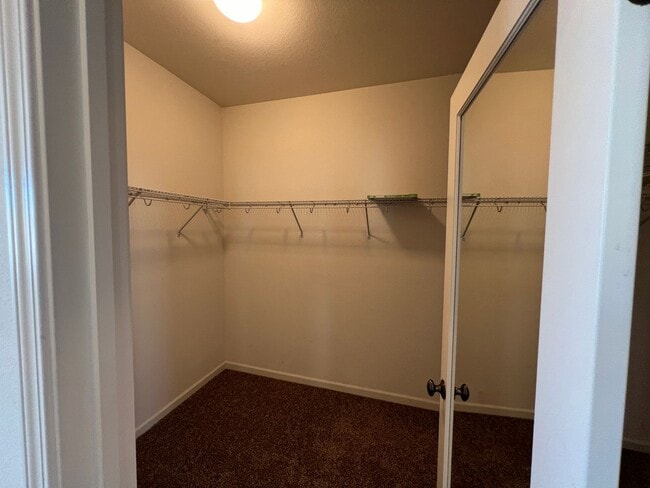 Building Photo - 2553 Acapulco Way