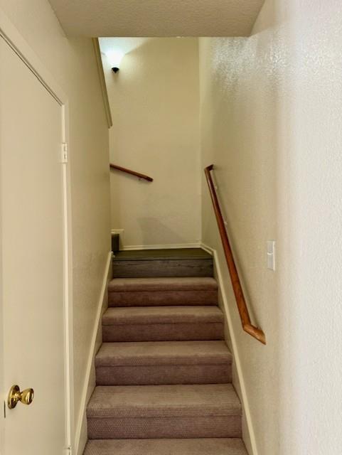 Building Photo - 11910 Tanglebriar Trail