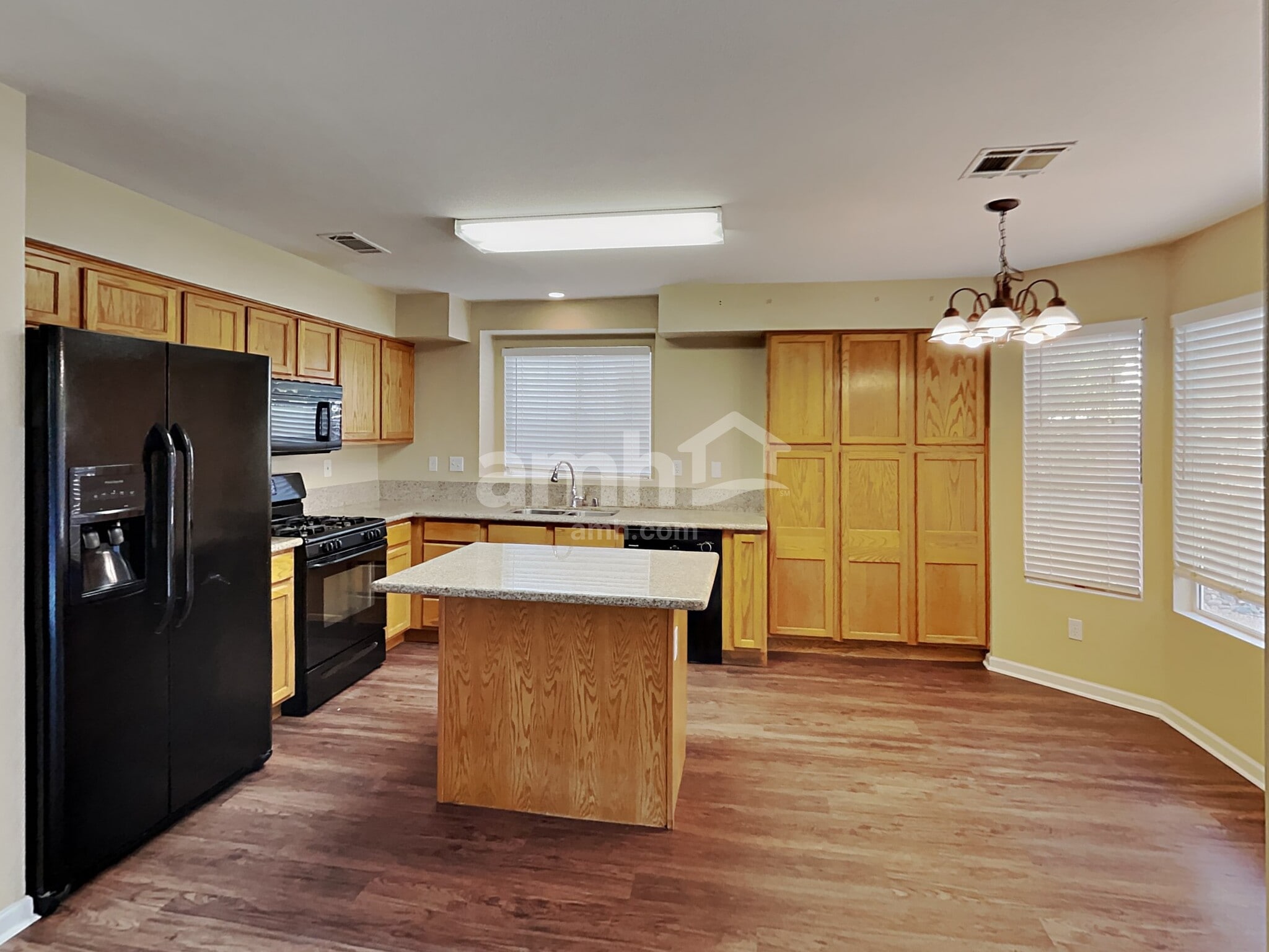 Building Photo - 909 Hornbeak Ct