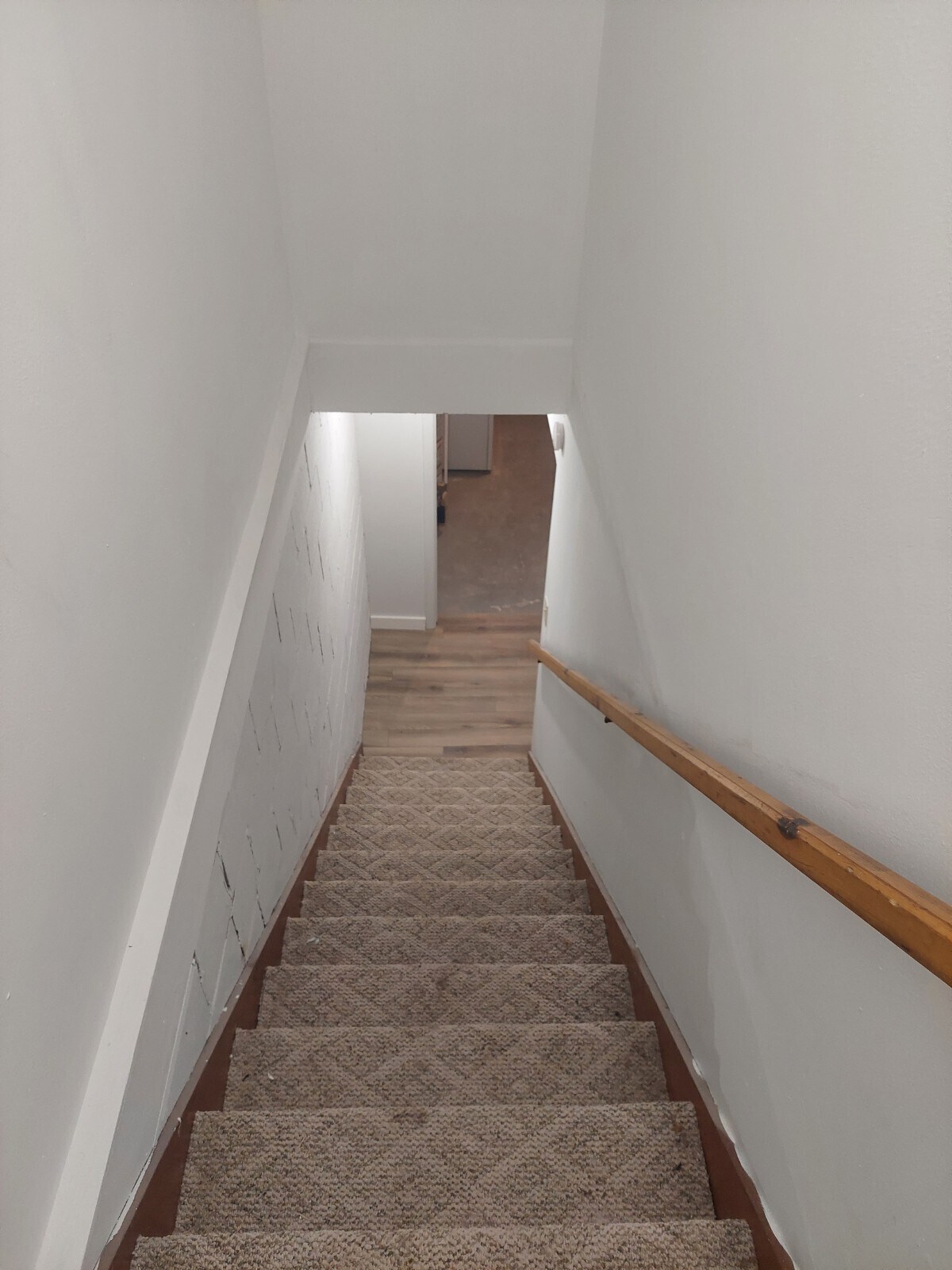 Downstairs - 726 Truman Ave