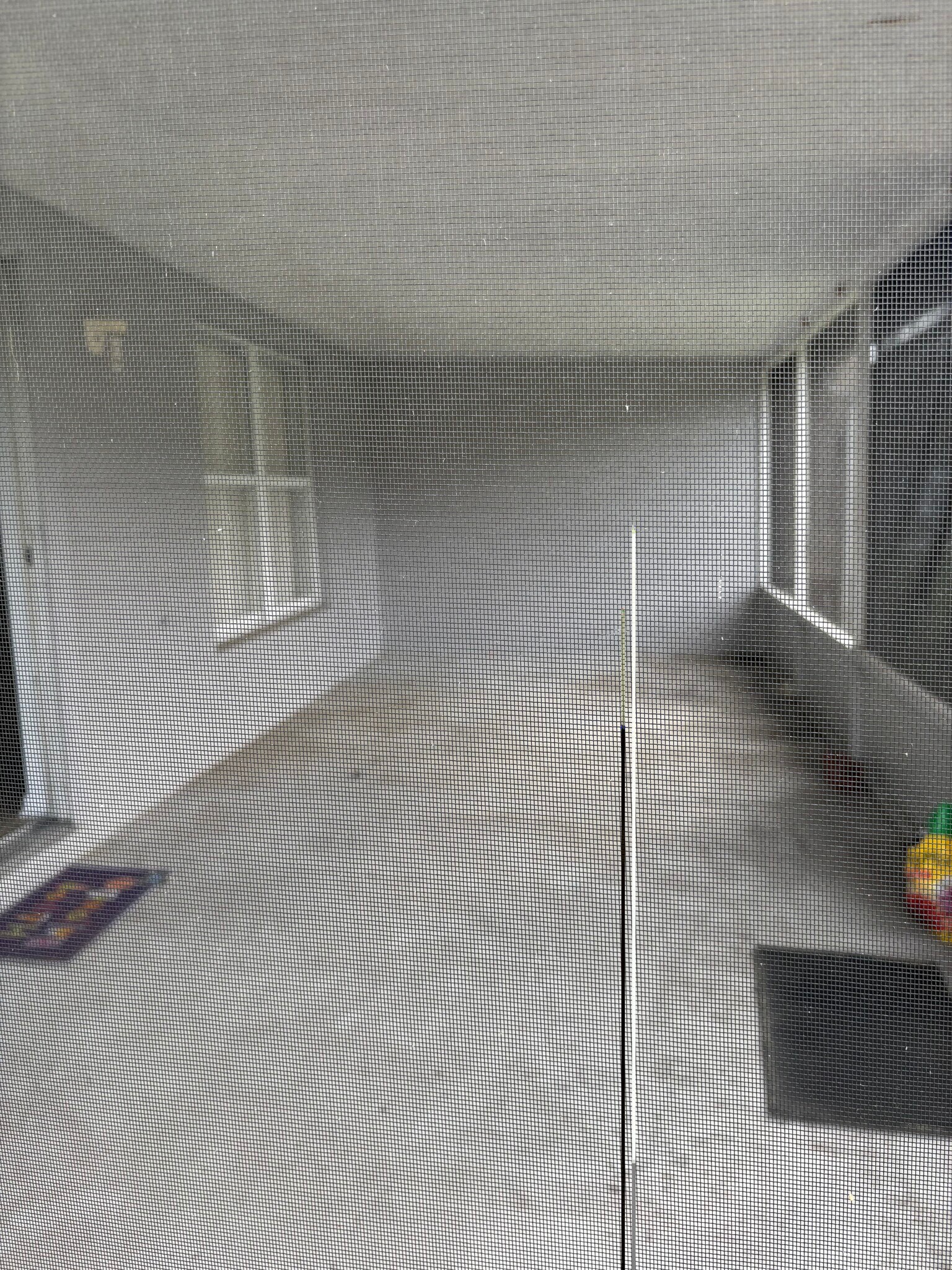 Building Photo - 305 Cocoa Ct