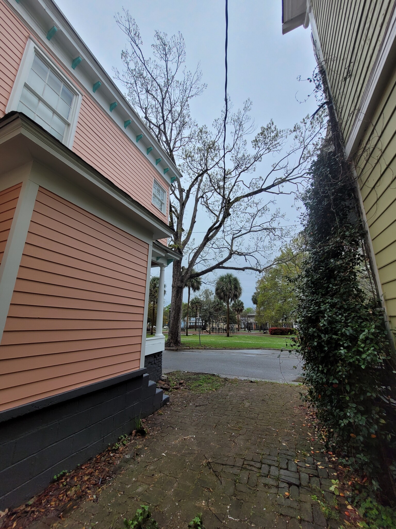 View of Dixon Park from patio/parking - 1215 Java Pl