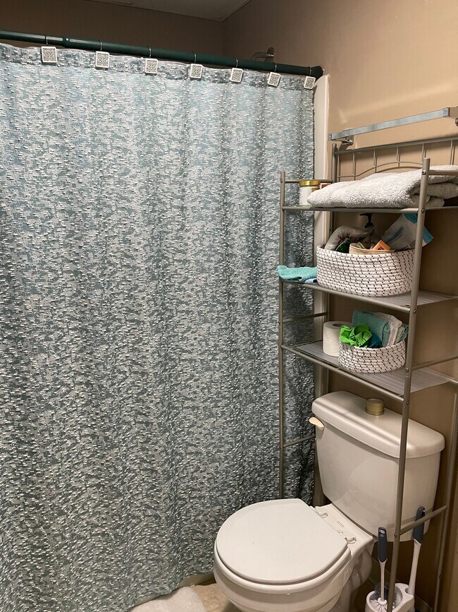 Bathroom - 391 Protzman St
