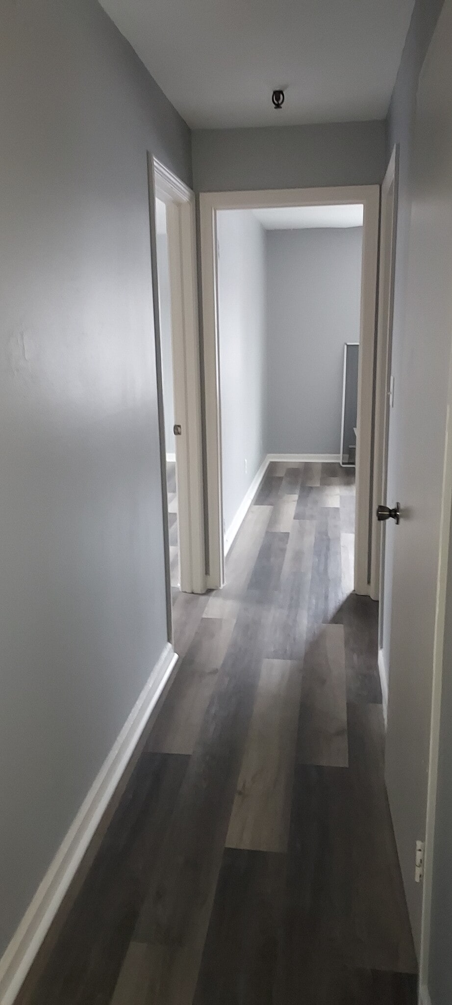 Building Photo - 3120 Jacqueline Dr