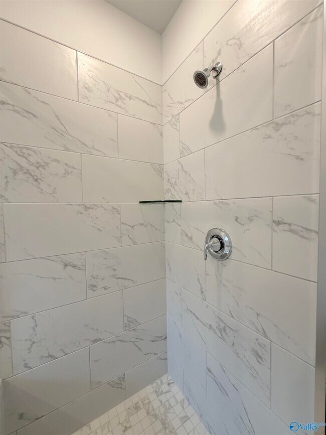 Building Photo - 203 Stockyard Cir