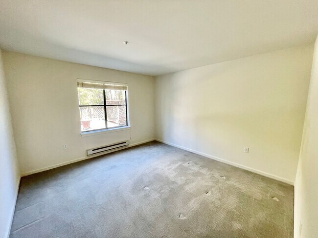 Building Photo - 2BR/2BA North Beach Condo W/Private, Huge Terrace, Parking! In-Unit Laundry! Storage! PROGRESSIVE