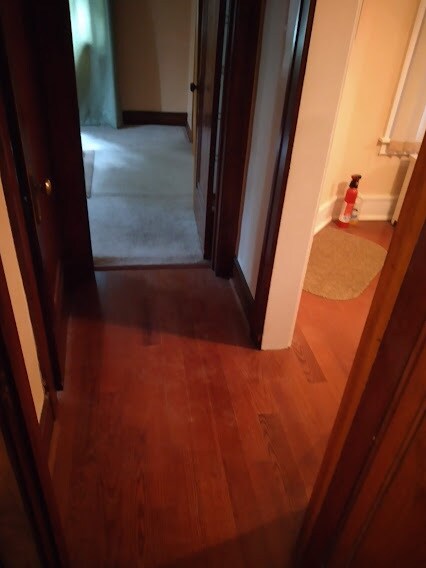 Hallway - 255 Wilcox St