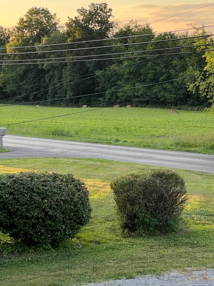 View from front Porch - 4121 Marr Rd