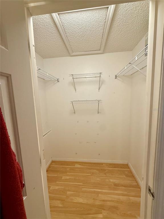 Building Photo - 232 Strawflower Ct