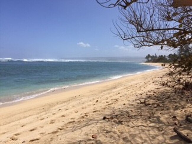 Building Photo - 3 BD / 1.5 BA Home in Waialua!