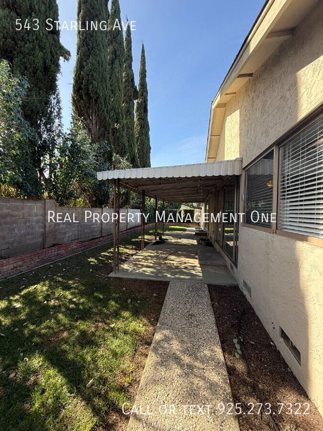 Building Photo - 543 Starling Ave