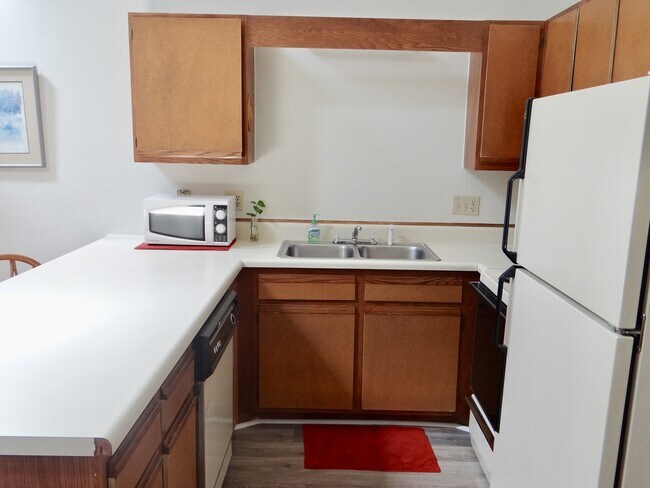 Building Photo - Large Efficiency Apartment with amenities in Surfside Beach