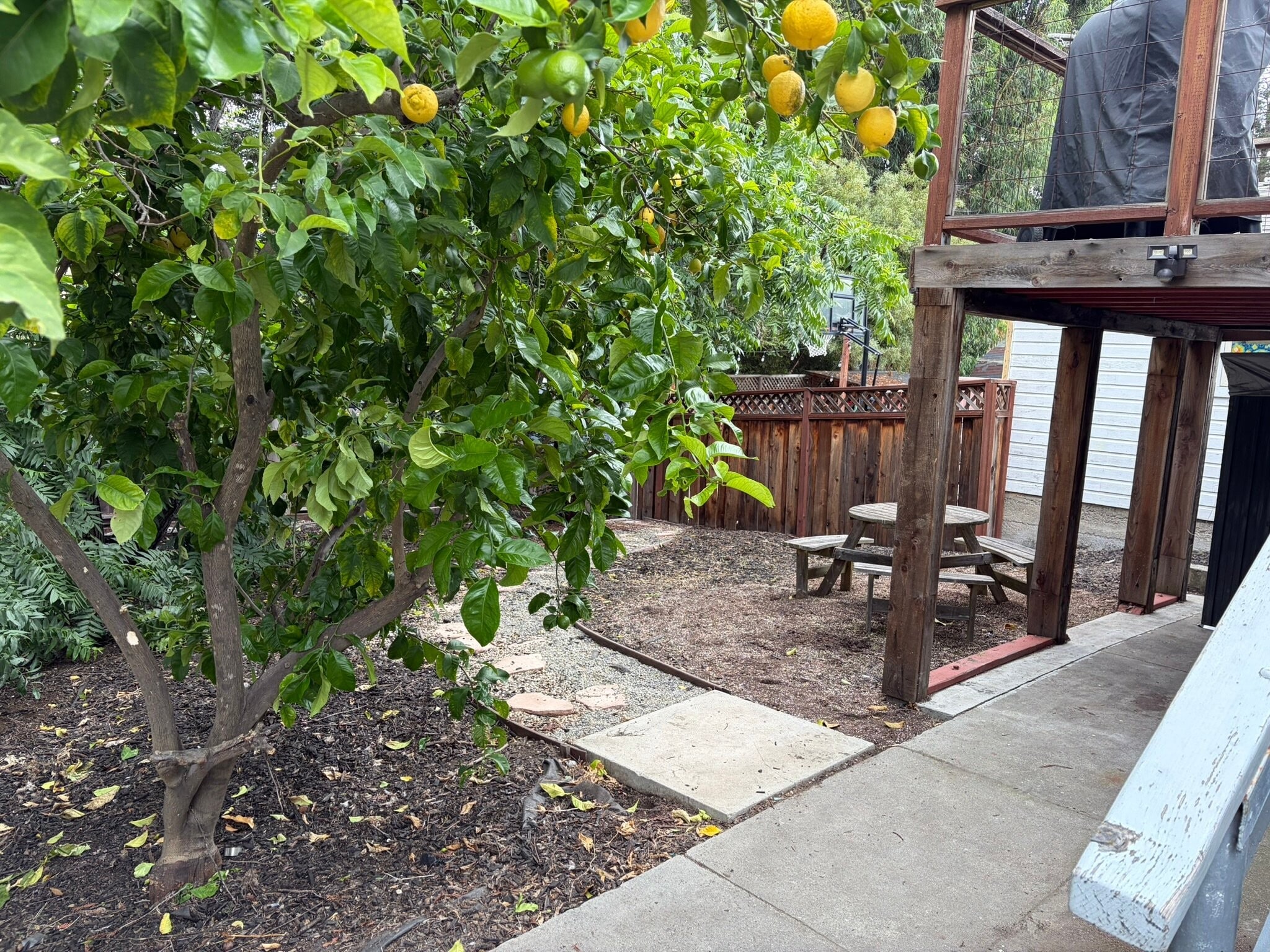 Building Photo - 2320 Saxon St