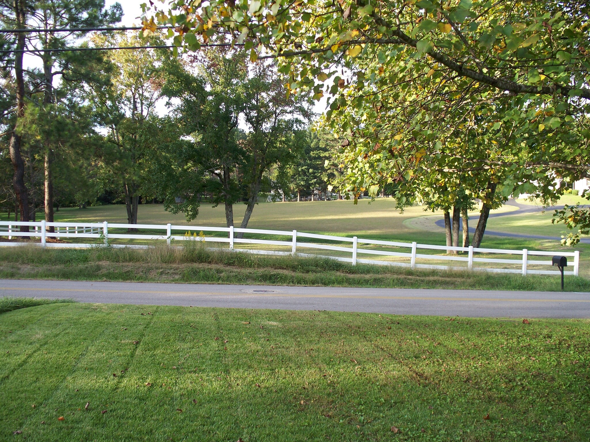 View from the front yard - 1416 Williams Road