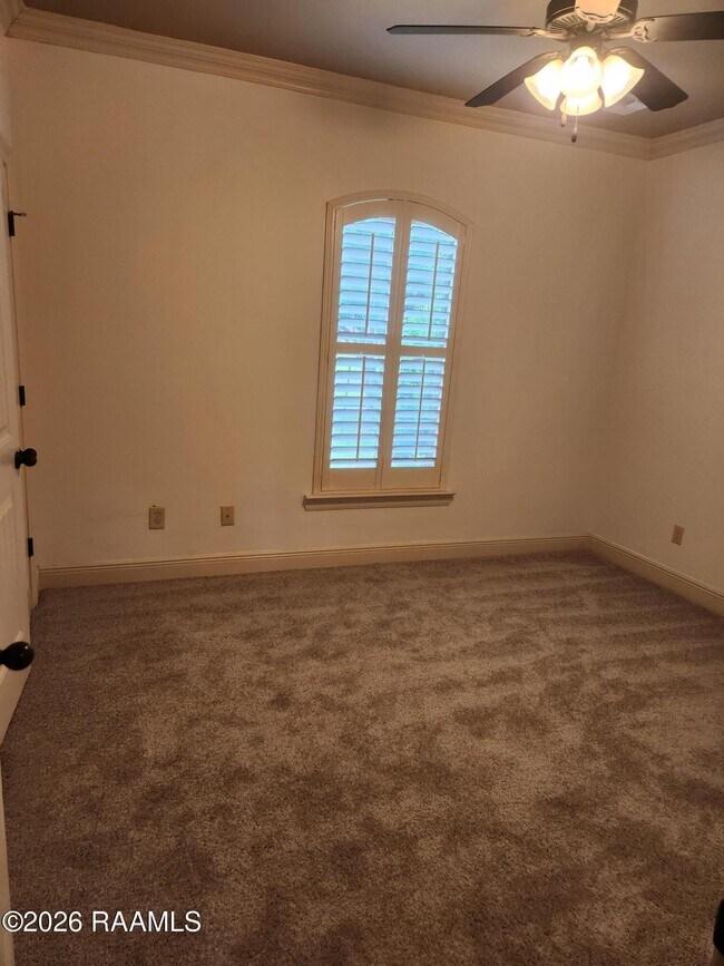 Building Photo - 119 Metairie Ct