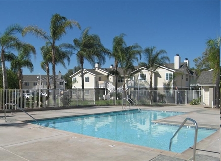 Primary Photo - Citrus Court Apartments