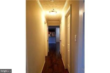 Building Photo - 603 Himes Ave