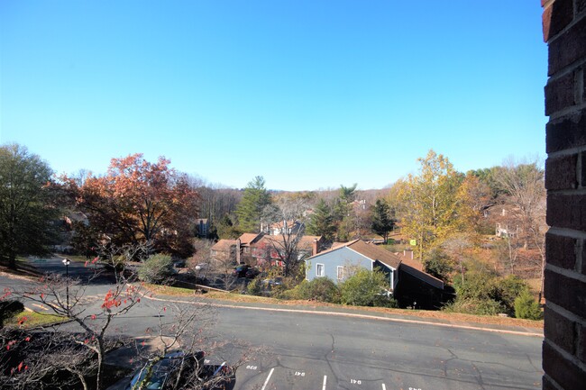 Primary Bedroom View - 941 Southampton Dr