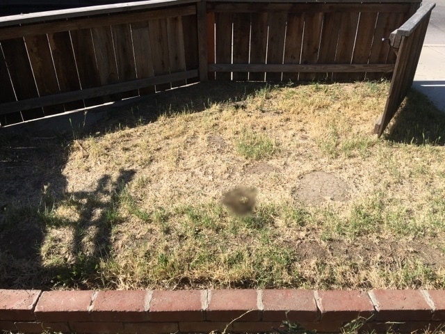 Building Photo - VOGT-120 West Pacheco