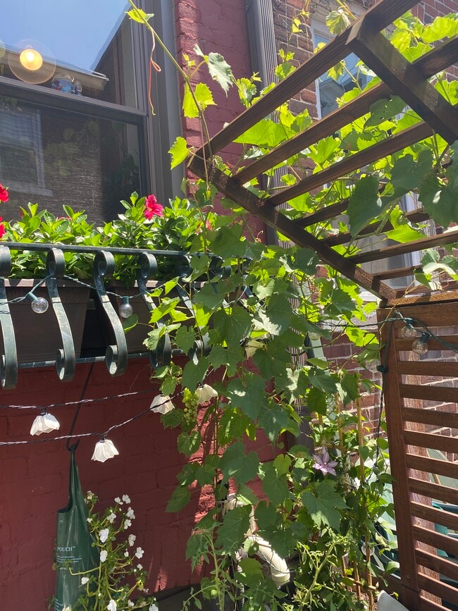 Building Photo - 174d Cotton Wy