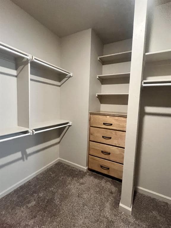 Building Photo - 11805 Loren Brook Ln