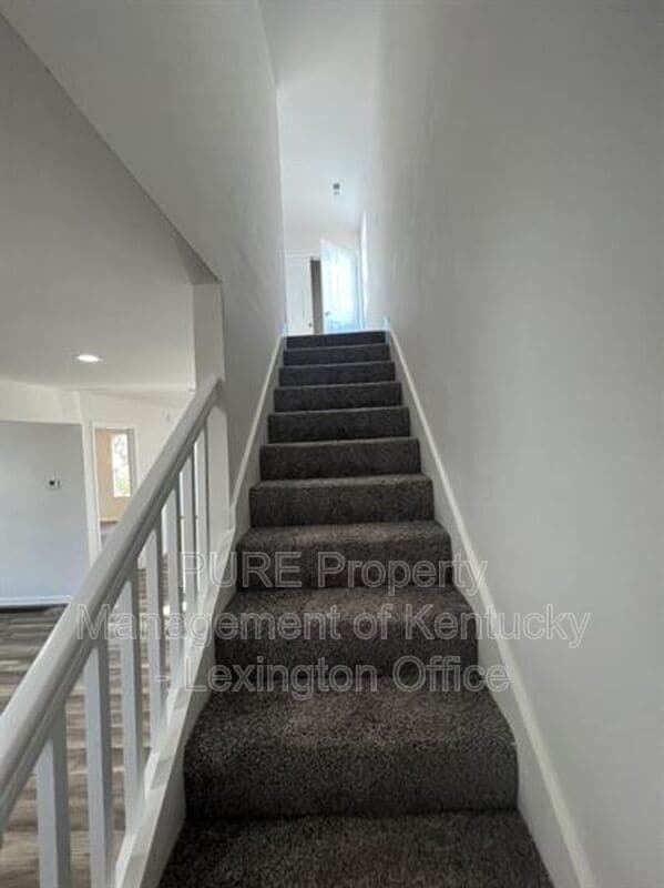 Building Photo - 1216 Pleasant St