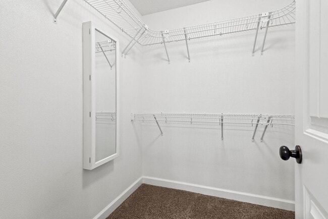 Building Photo - Available Dec 5!