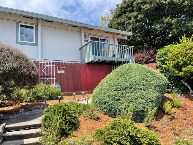 Building Photo - Gorgeous three bedroom two bathroom home with large backyard for rent!